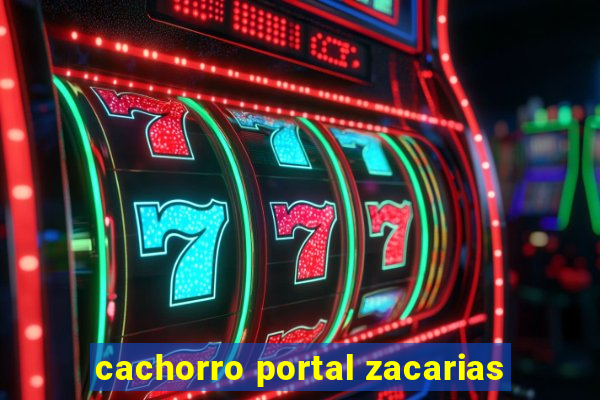 cachorro portal zacarias